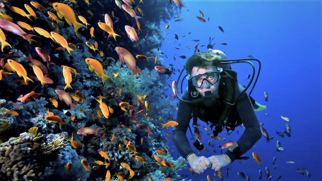 buceo o inmersión marina