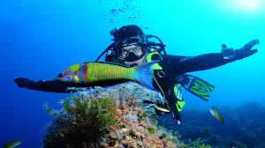 cabo de palos buceo