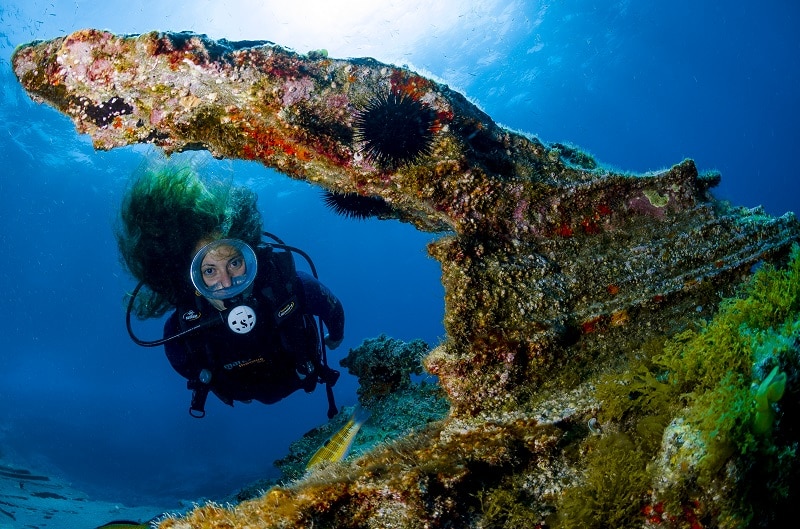 islas canarias buceo