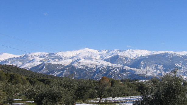 sierra nevada