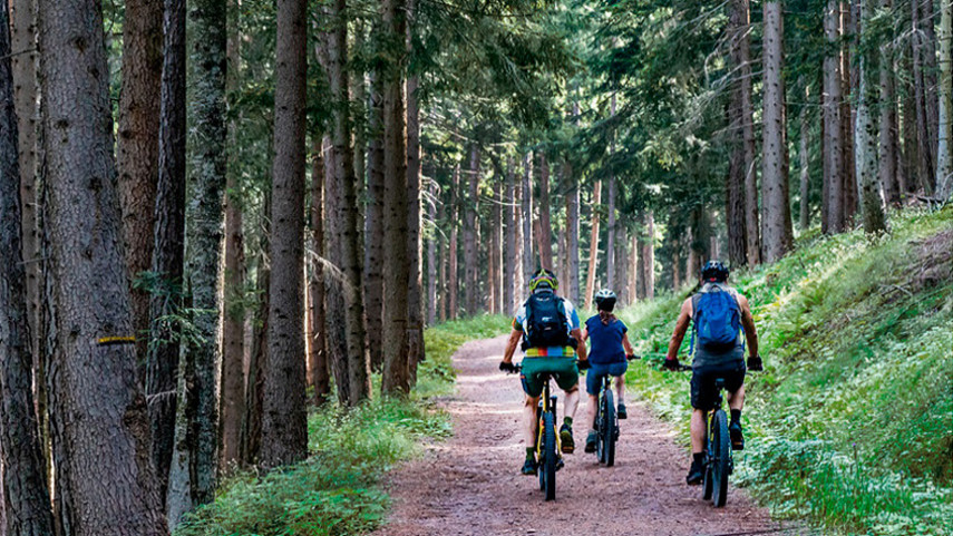 trial sierra de cazorla